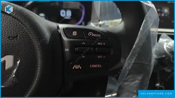 KIA RAY SIGNATURE