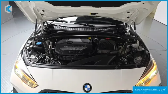BMW 2 SERIES M235I XDRIVE PERFORMANCE EDITION 25TH