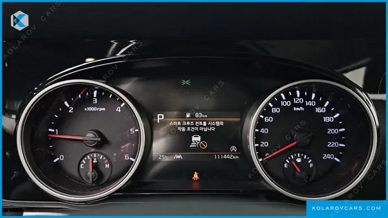KIA CARNIVAL DIESEL 9-SEATER NOBLESSE