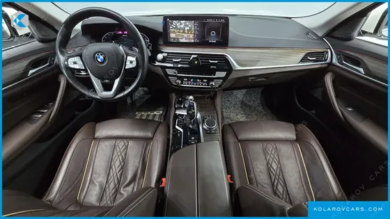 BMW 5 SERIES 530E LUXURY