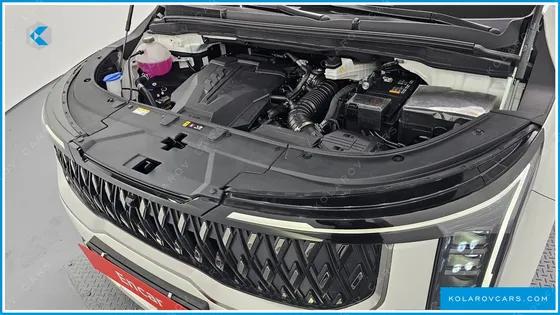 KIA CARNIVAL GASOLINE 7-SEATER HI LIMOUSINE