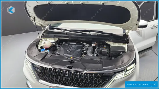 KIA CARNIVAL GASOLINE 9-SEATER HI-LIMOUSINE