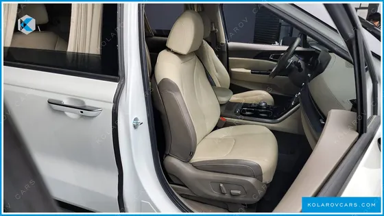 KIA CARNIVAL GASOLINE 9-SEATER HI-LIMOUSINE