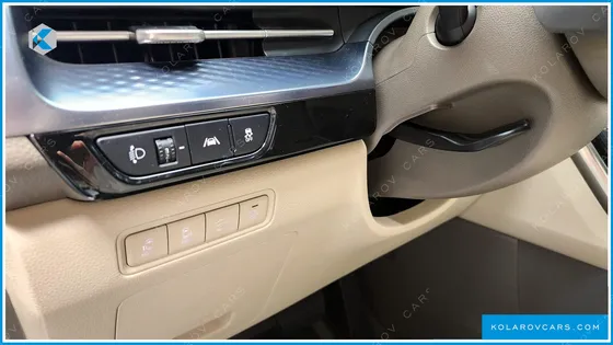 KIA CARNIVAL GASOLINE 9-SEATER HI-LIMOUSINE