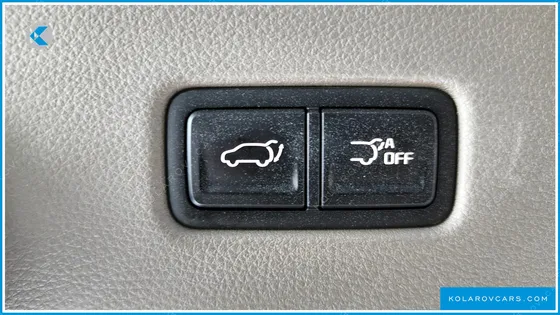 KIA CARNIVAL GASOLINE 9-SEATER HI-LIMOUSINE