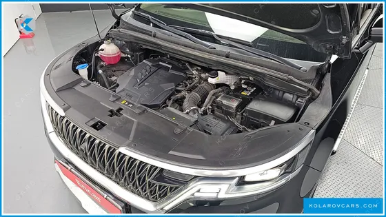 KIA CARNIVAL GASOLINE 9-SEATER HI-LIMOUSINE