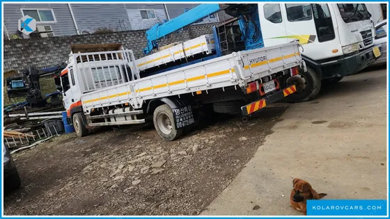 HYUNDAI MEGA TRUCK GOLD