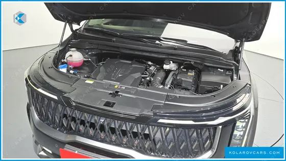 KIA CARNIVAL GASOLINE 9-SEATER SIGNATURE
