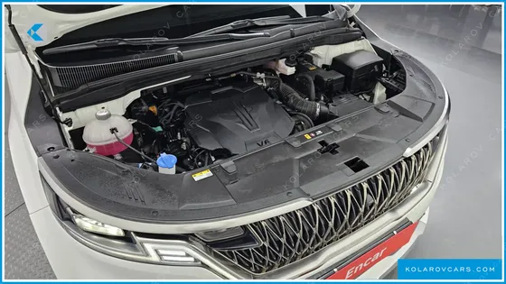 KIA CARNIVAL GASOLINE 9-SEATER HI-LIMOUSINE