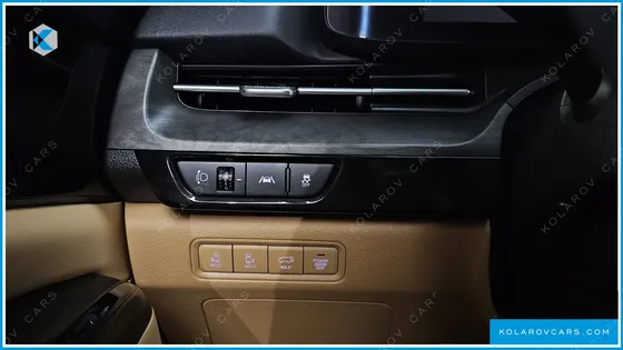 KIA CARNIVAL 9-SEATER NOBLESSE