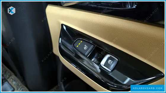 KIA CARNIVAL 9-SEATER SIGNATURE