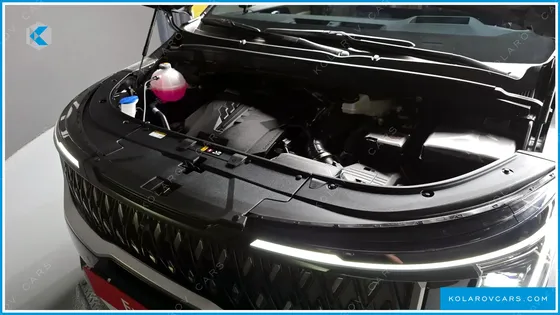 KIA CARNIVAL GASOLINE 9-SEATER SIGNATURE