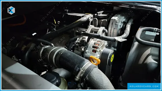 OTHER OR NONE