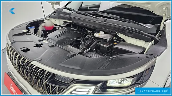 KIA CARNIVAL GASOLINE 7-SEATER HI-LIMOUSINE