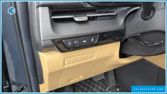 KIA CARNIVAL GASOLINE 9-SEATER SIGNATURE