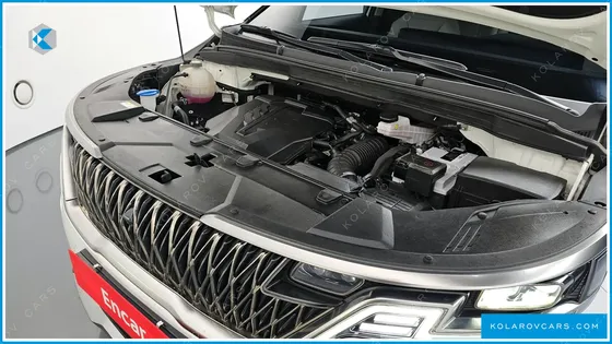 KIA CARNIVAL GASOLINE 9-SEATER NOBLESSE