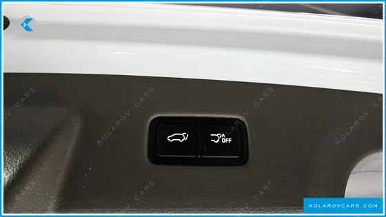 KIA CARNIVAL GASOLINE 7-SEATER HI-LIMOUSINE