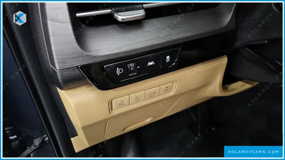 KIA CARNIVAL 9-SEATER SIGNATURE