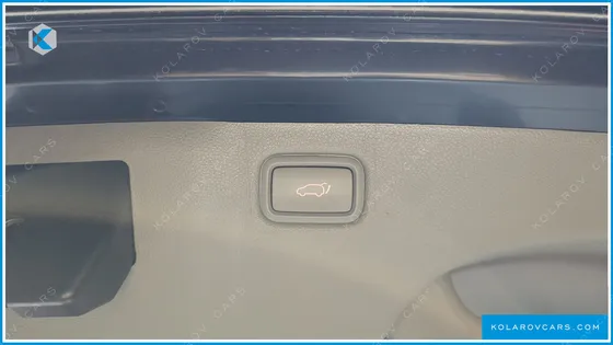KIA CARNIVAL 9-SEATER NOBLESSE