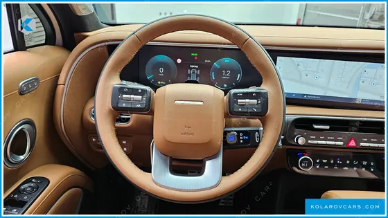 HYUNDAI PALISADE HEV 2.5T 4WD 9-SEATER
