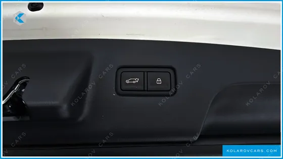 HYUNDAI PALISADE HEV 2.5T 4WD 9-SEATER