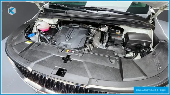 KIA CARNIVAL GASOLINE 9-SEATER HI-LIMOUSINE