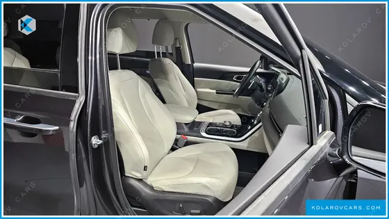 KIA CARNIVAL 9-SEATER SIGNATURE