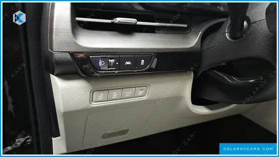 KIA CARNIVAL 9-SEATER SIGNATURE