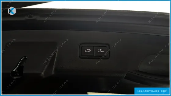 KIA CARNIVAL 9-SEATER SIGNATURE