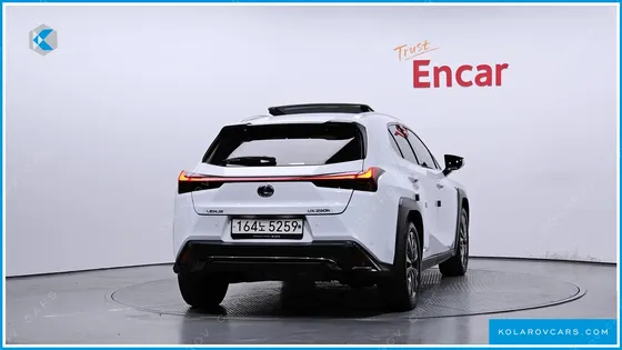 LEXUS UX 2.0 F-SPORT 2WD