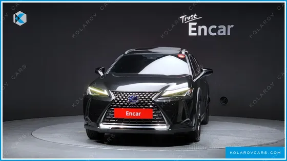 LEXUS UX 2.0 2WD