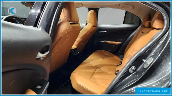 LEXUS UX 2.0 2WD