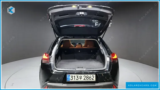 LEXUS UX 2.0 2WD