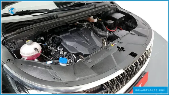 KIA CARNIVAL GASOLINE 9-SEATER LIMOUSINE(SPECIAL VEHICLE)