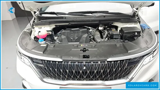 KIA CARNIVAL GASOLINE 9-SEATER LIMOUSINE(SPECIAL VEHICLE)