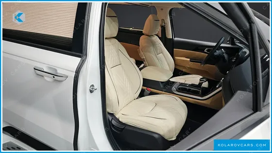 KIA CARNIVAL GASOLINE 9-SEATER LIMOUSINE(SPECIAL VEHICLE)
