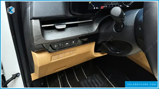 KIA CARNIVAL GASOLINE 9-SEATER LIMOUSINE(SPECIAL VEHICLE)