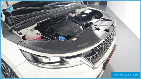 KIA CARNIVAL GASOLINE 9-SEATER SIGNATURE