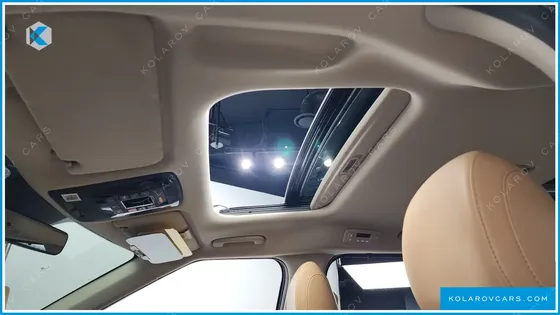 KIA CARNIVAL 9-SEATER SIGNATURE