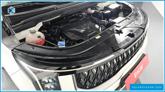 KIA CARNIVAL GASOLINE 7-SEATER HI LIMOUSINE