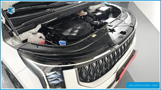 KIA CARNIVAL 9-SEATER NOBLESSE