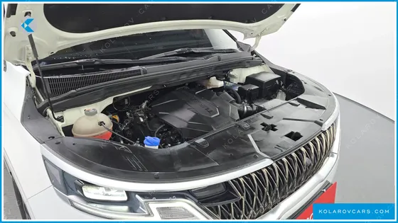 KIA CARNIVAL 9-SEATER SIGNATURE