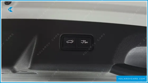 KIA CARNIVAL 9-SEATER SIGNATURE