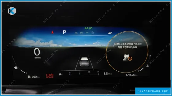 KIA CARNIVAL 9-SEATER NOBLESSE